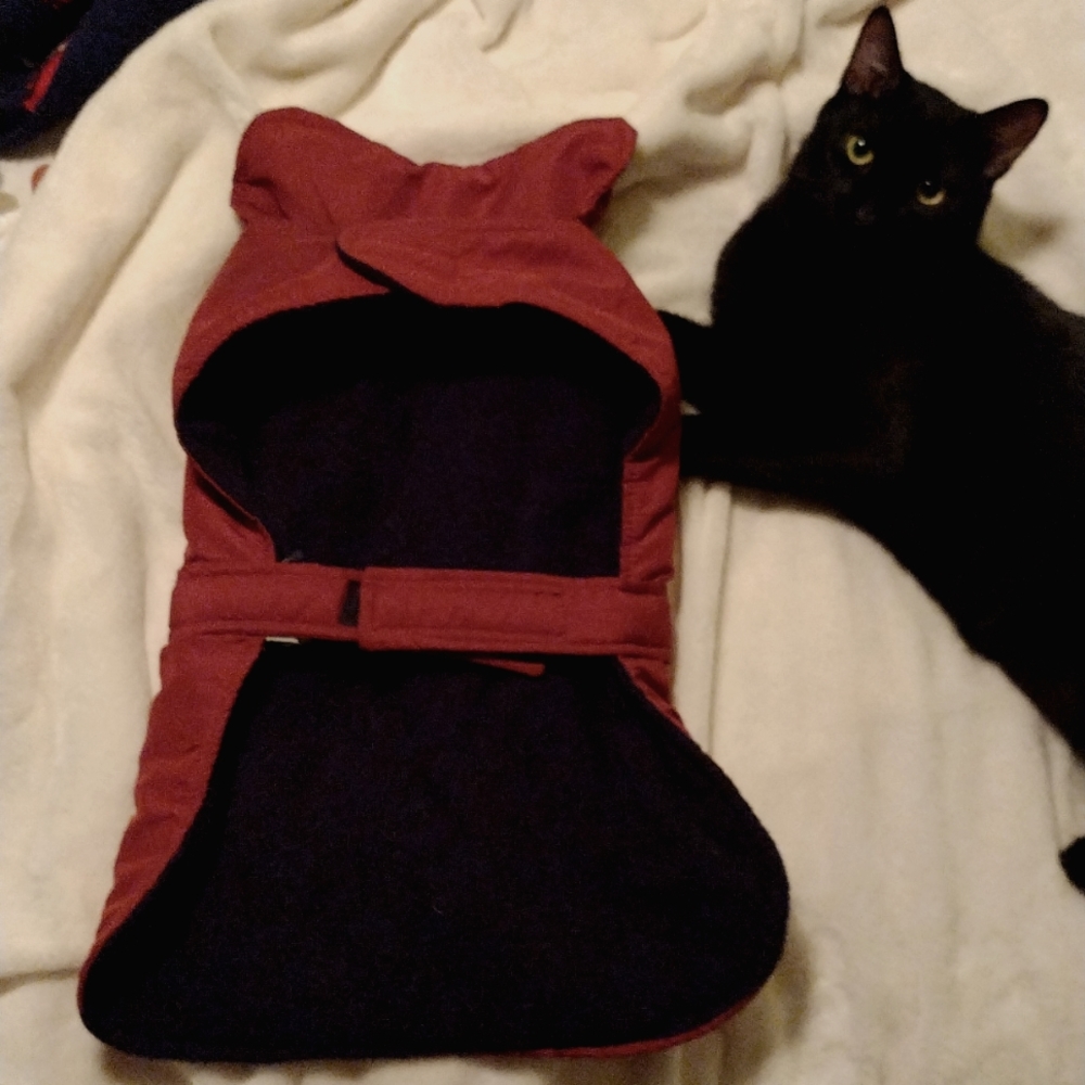 Fleece lined raincoat for dogs